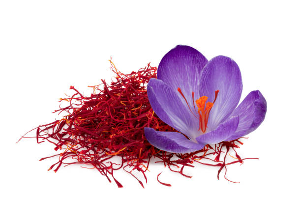 تصویر 4 از قیمت زعفران نگین مرغوب فله + خرید باور نکردنی
