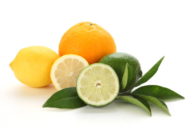 تصویر 1 از قیمت خرید لیمو شیرین شمال + فروش ویژه
