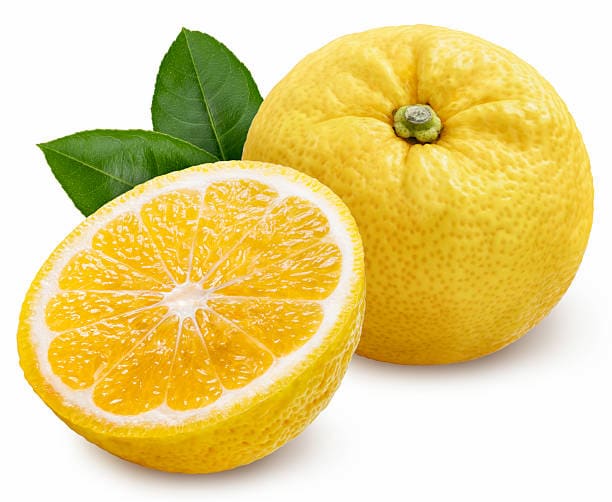 تصویر 5 از قیمت لیموشیرین اندیمشک درشت آبدار + خرید باور نکردنی
