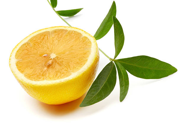 تصویر 1 از معرفی لیمو شیرین ارگانیک شیراز + بهترین قیمت خرید
