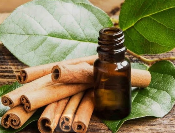 فروش عمده اسانس دارچین طبیعی گرید A