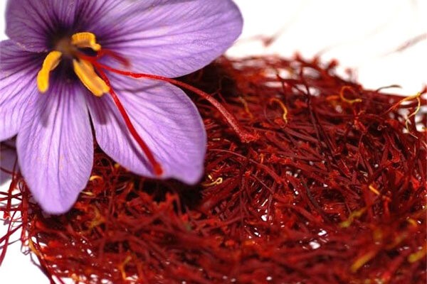 تصویر 2 از معرفی زعفران عمده ارگانیک + بهترین قیمت خرید