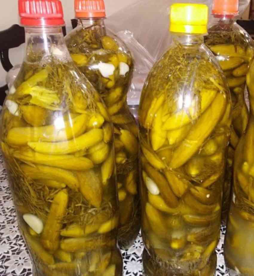 تصویر 2 از خرید خیارشور شیشه‌ای ۷۵۰ گرمی ویژه