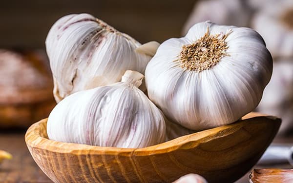 تصویر 4 از خرید سیر صدفی فله ای + قیمت عالی باکیفیت