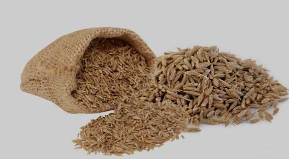 تصویر 2 از زیره سیاه دست‌ چین معطر سبزوار + قیمت