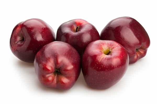 تصویر 4 از سیب درختی قرمز مراغه استخوانی