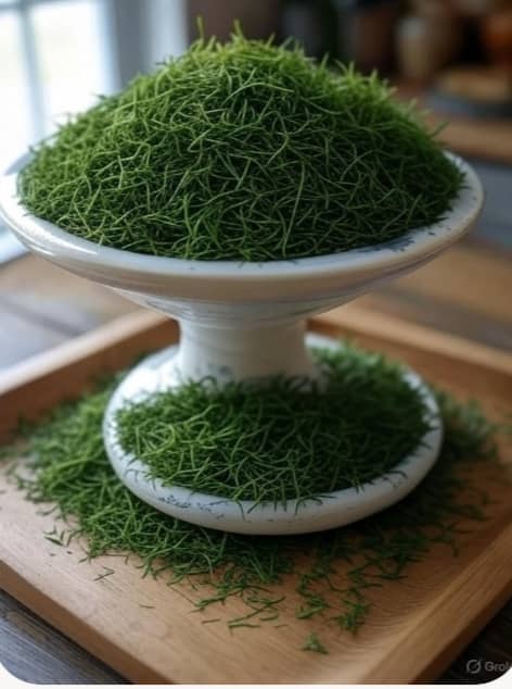 تصویر 3 از خرید شوید خشک پودری + قیمت عمده