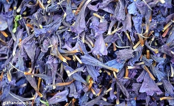 تصویر 3 از خرید عمده گل گاوزبان ایرانی + قیمت رقابتی صادراتی