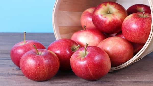 تصویر 2 از خرید و فروش سیب گلاب با شرایط فوق العاده