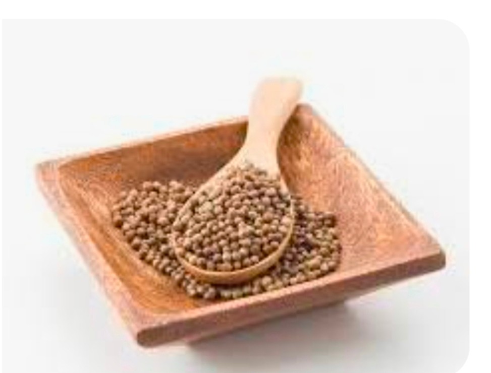 تصویر 1 از خرید بذر گشنیز در چابهار + ارسال از آناهیتا گشنیز
