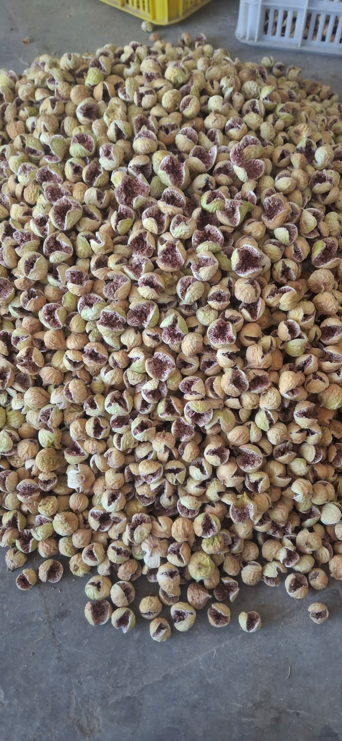 تصویر 1 از مرکز خرید و فروش انجیر خشک ارگانیک + قیمت عمده