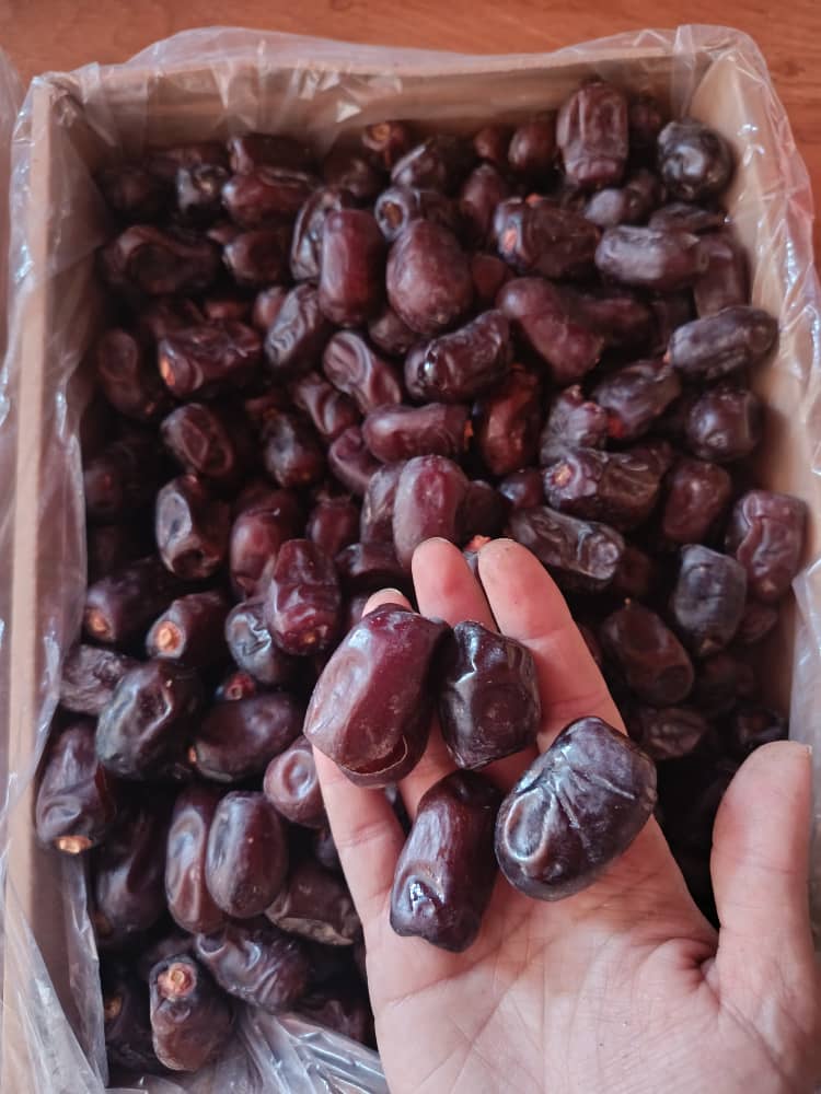 فروش تناژی خرمای مضافتی ویژه تجار و بازرگانان