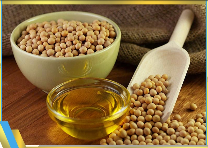 تصویر 1 از مرکز فروش روغن سویا خام و تصفیه شده + گالن 20 لیتری