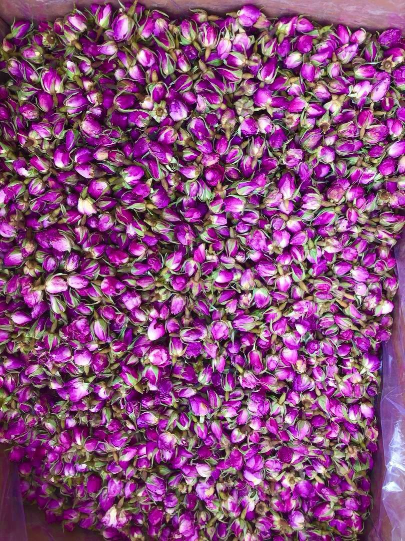تصویر 1 از خرید غنچه گل محمدی استان فارس