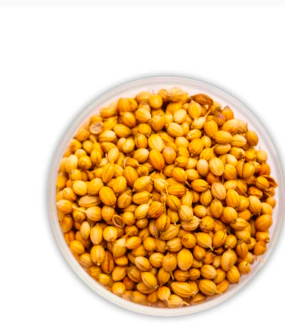 تصویر 1 از سفارش بذر گشنیز عمد در ساری + آنلاین از آناهیتا گشنیز