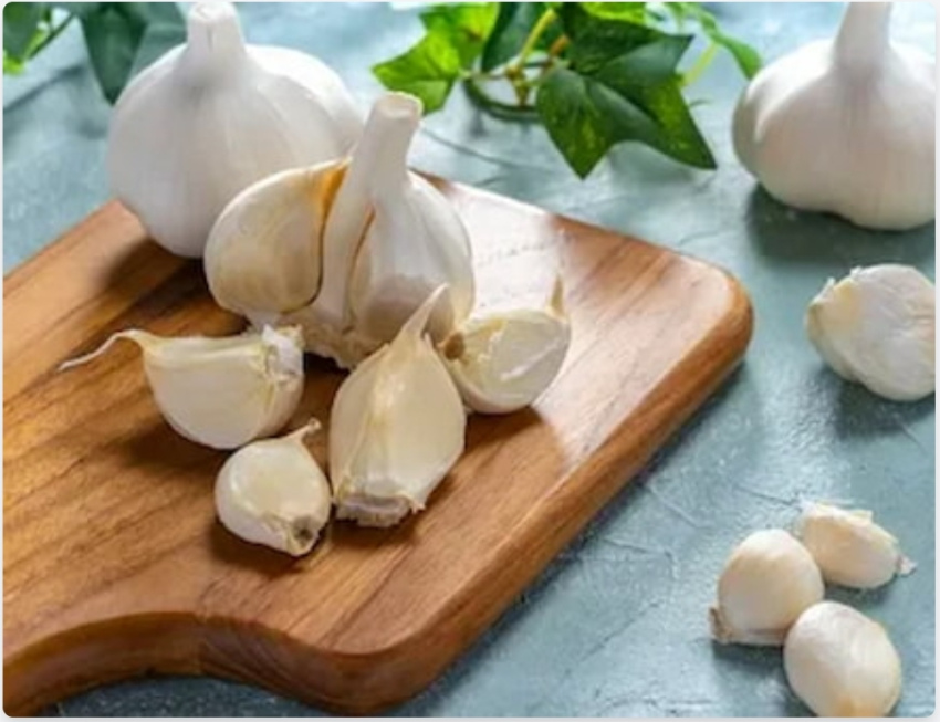 تصویر 1 از قیمت خرید سیر تازه خشک + فروش ویژه