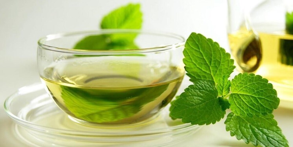 تصویر 4 از قیمت عرق نعنا ی چهل عیار + بهترین نوع