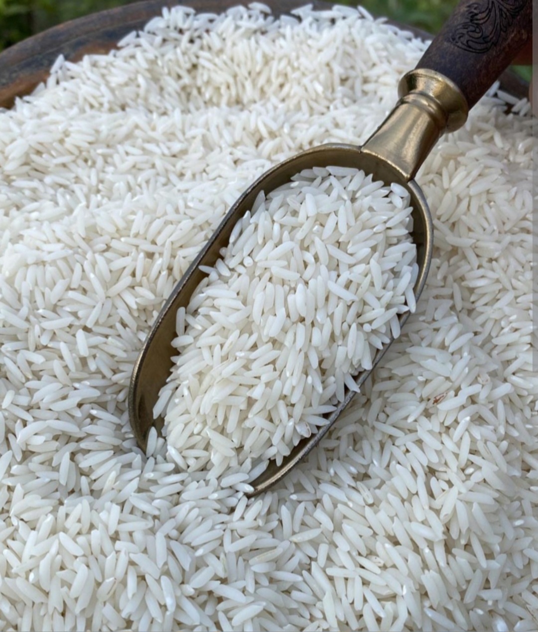 قیمت فروش برنج طارم هاشمی درجه یک و معطر