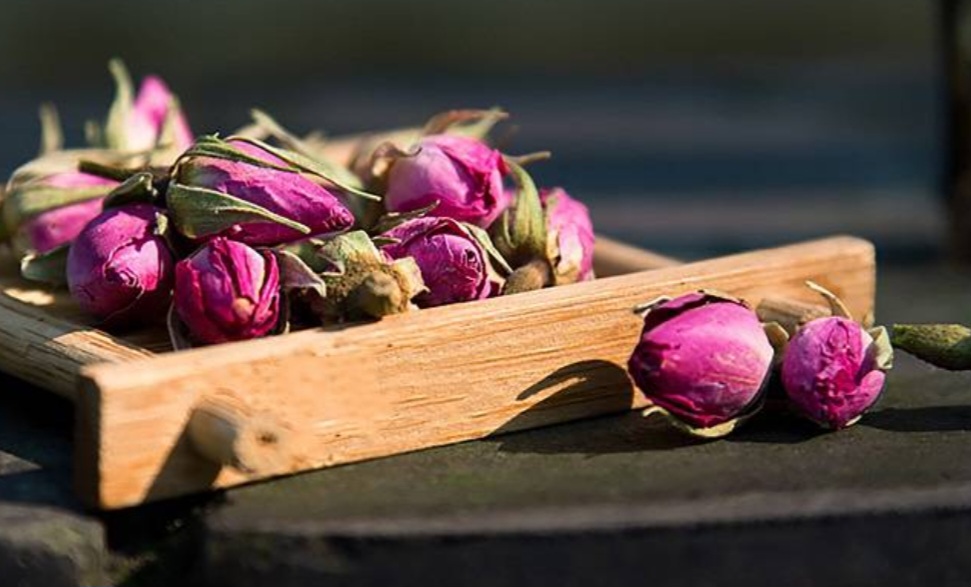 گل محمدی و خوش عطر هدیه ای از دل طبیعت