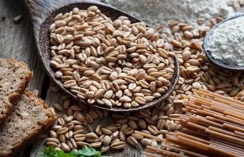 تصویر 2 از پودر گلوتن گندم ممتاز + صادراتی