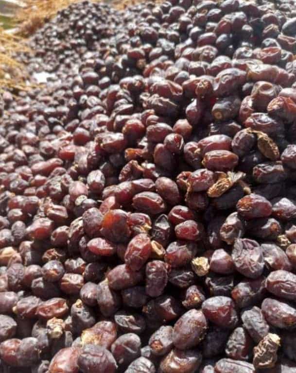 تصویر 1 از فروش خرما استعمران به صورت عمده در اهواز