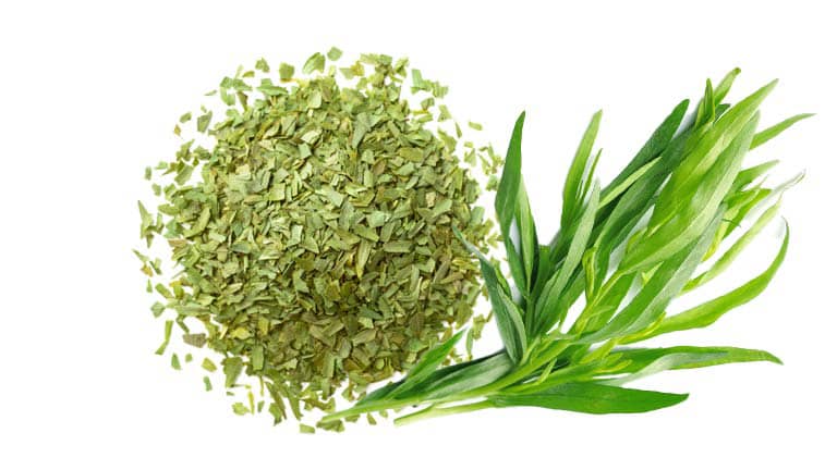 ترخون سبزی خشک + فروشی به قیمت