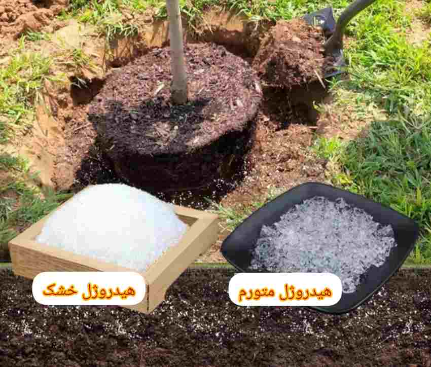 قیمت خرید هیدروژل مخصوص باغچه