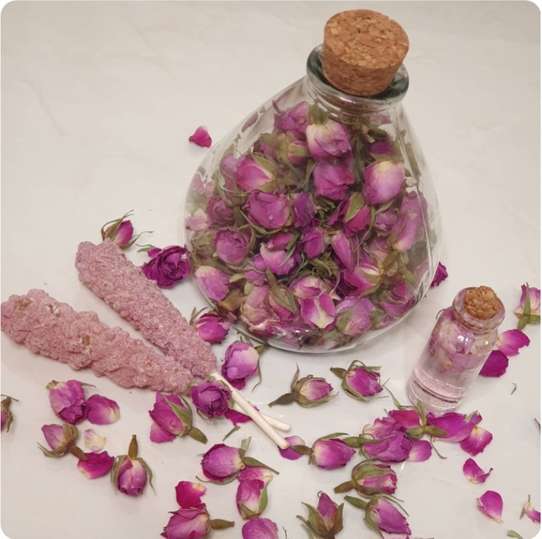 گل محمدی تازه و دست چین + خرید بهترین کیفیت