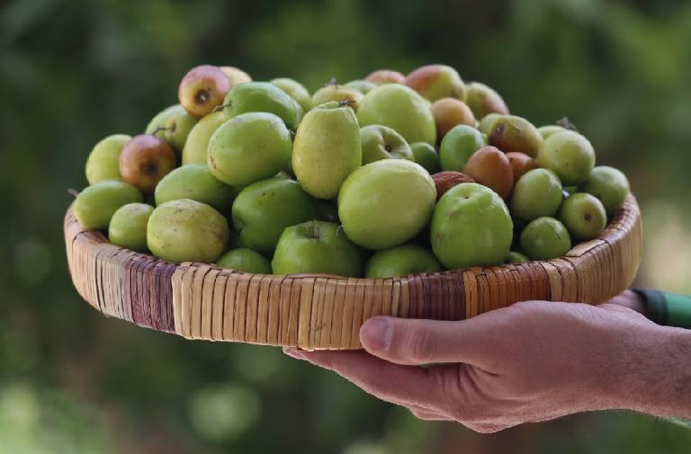 تصویر 3 از فروش عمده کنار پیشین + بسته بندی کارتن موزی