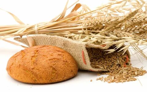 تصویر 3 از گلوتن گندم ممتاز صنعتی + صادراتی