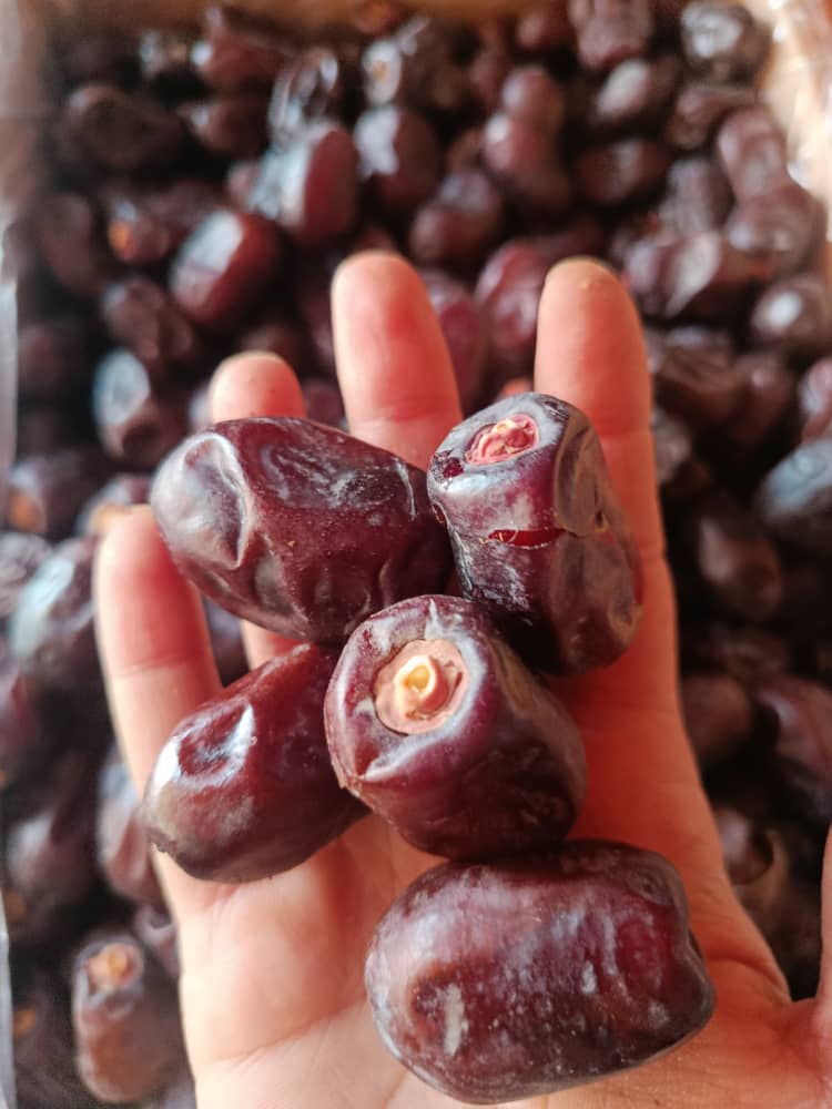 تصویر 4 از خرید خرمای کبکاب