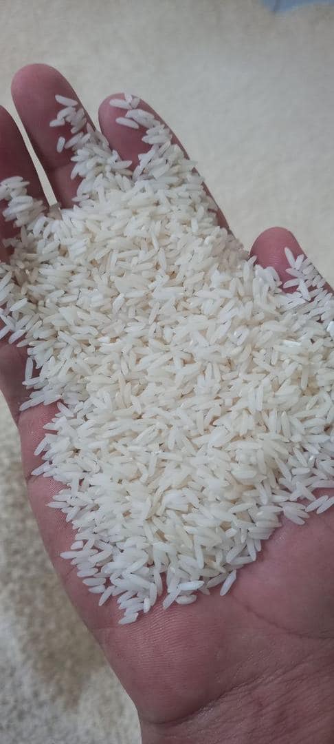 تصویر 4 از قیمت خرید برنج امرالهی + خرید آسان