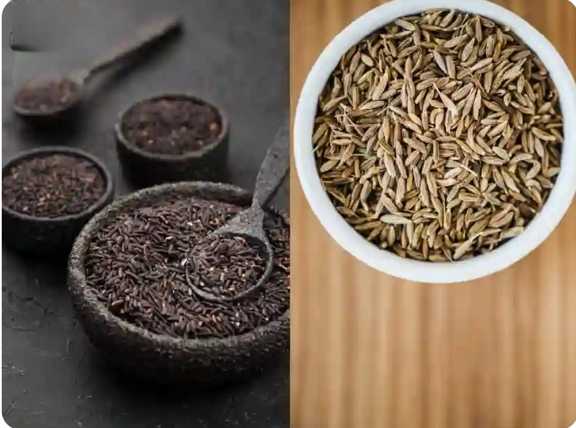 تصویر 2 از گرانول زیره وحشی عطاری مخصوص پخت و پز + خرید