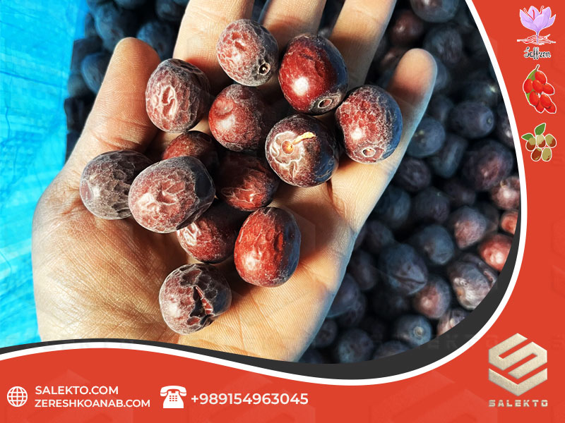 تصویر 5 از عناب خشک صادراتی بیرجند با بسته‌بندی استاندارد و کیفیت عالی + فروش آنلاین