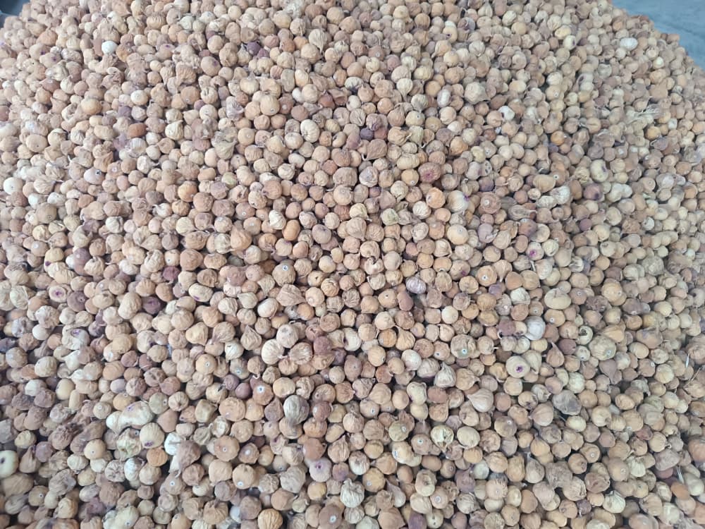 تصویر 1 از عرضه انجیر با کیفیت و مرغوب استهبان + قیمت عالی