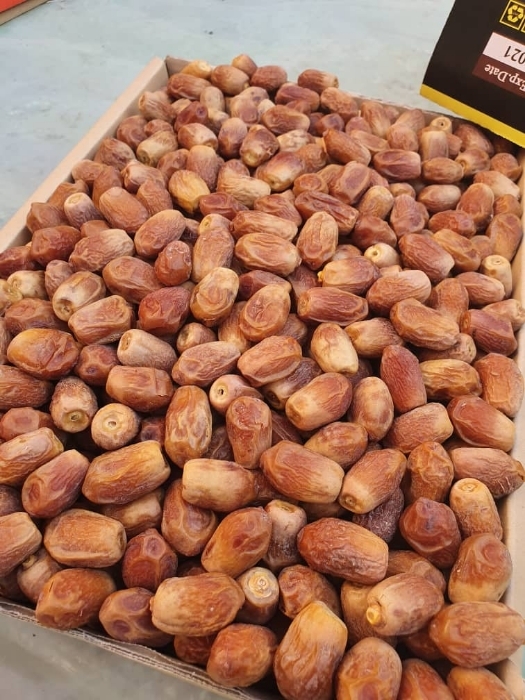تصویر 4 از خرید انواع خرما زاهدی خشک عمده 1404 تازه برداشت