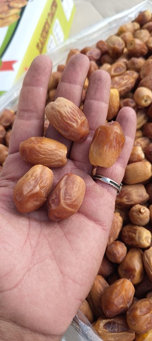 تصویر 1 از خرید انواع خرما زاهدی خشک عمده 1404 تازه برداشت