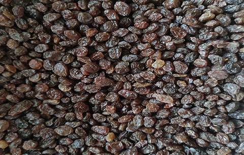 تصویر 3 از خرید کشمش آفتابی درجه یک + قیمت مناسب