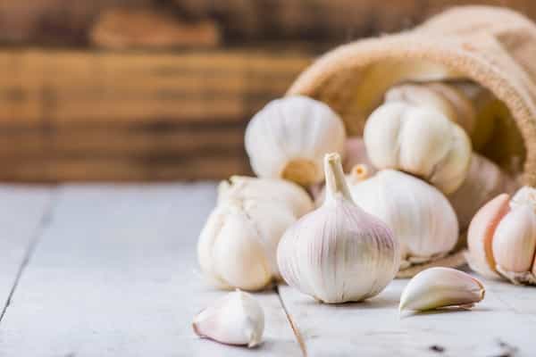تصویر 3 از قیمت خرید سیر تند با فروش عمده