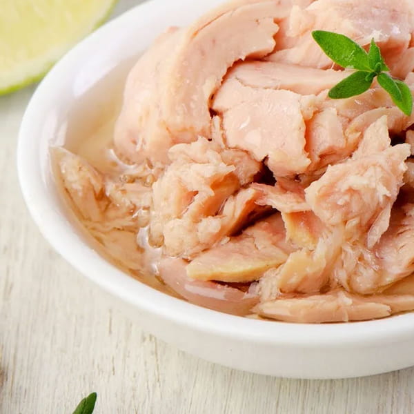 تصویر 2 از خرید کنسرو تن ماهی در روغن گیاهی + قیمت فروش استثنایی
