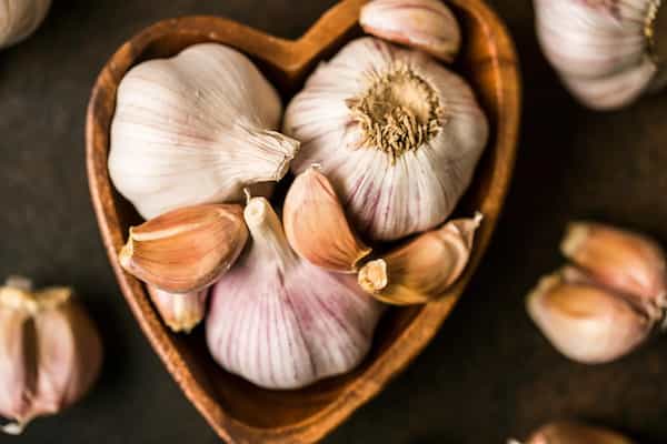 تصویر 3 از فروش سیر سخت گردن  + قیمت خرید به صرفه