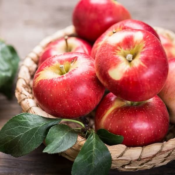 خرید و قیمت سیب قرمز + فروش عمده