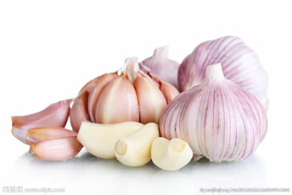 تصویر 5 از خرید سیر سفید + قیمت فروش استثنایی