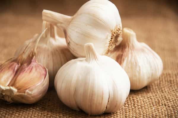 تصویر 4 از خرید و قیمت انواع سیر کریول