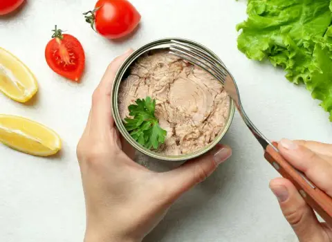 راهنمای خرید تن ماهی + قیمت عالی