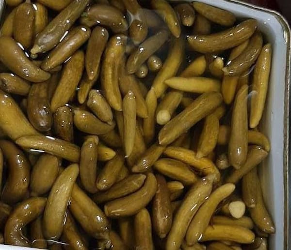 قیمت خرید خیارشور فله ای  با فروش عمده