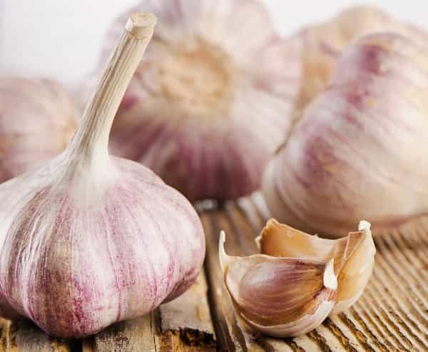 تصویر 2 از خرید جدیدترین انواع سیر ارگانیک