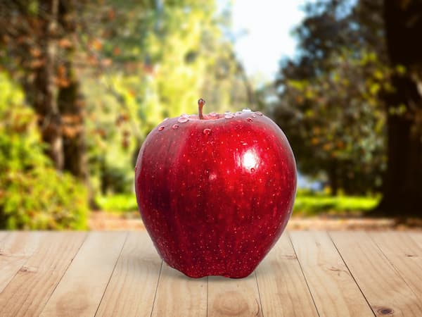 تصویر 5 از خرید و قیمت  سیب قرمز فوجی + فروش عمده