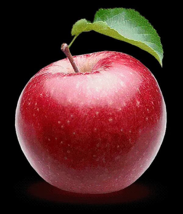 تصویر 3 از خرید و قیمت  سیب قرمز فوجی + فروش عمده