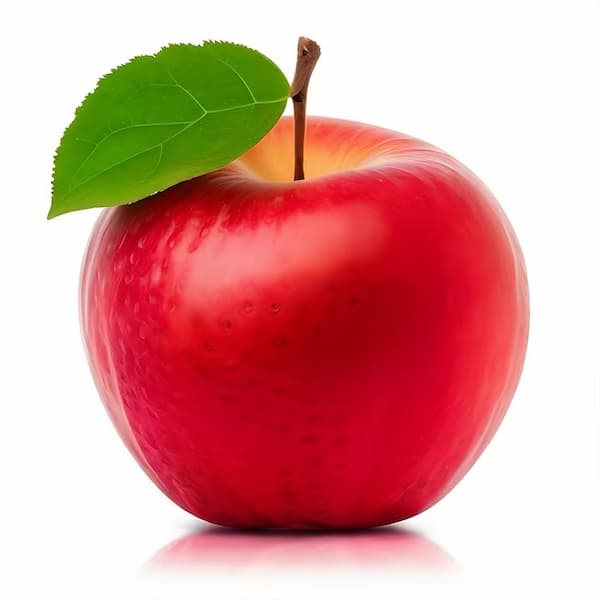 تصویر 3 از خرید و قیمت  سیب قرمز گالا + فروش عمده